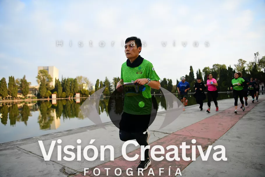 Foto del evento Shrek - CDMX 2026