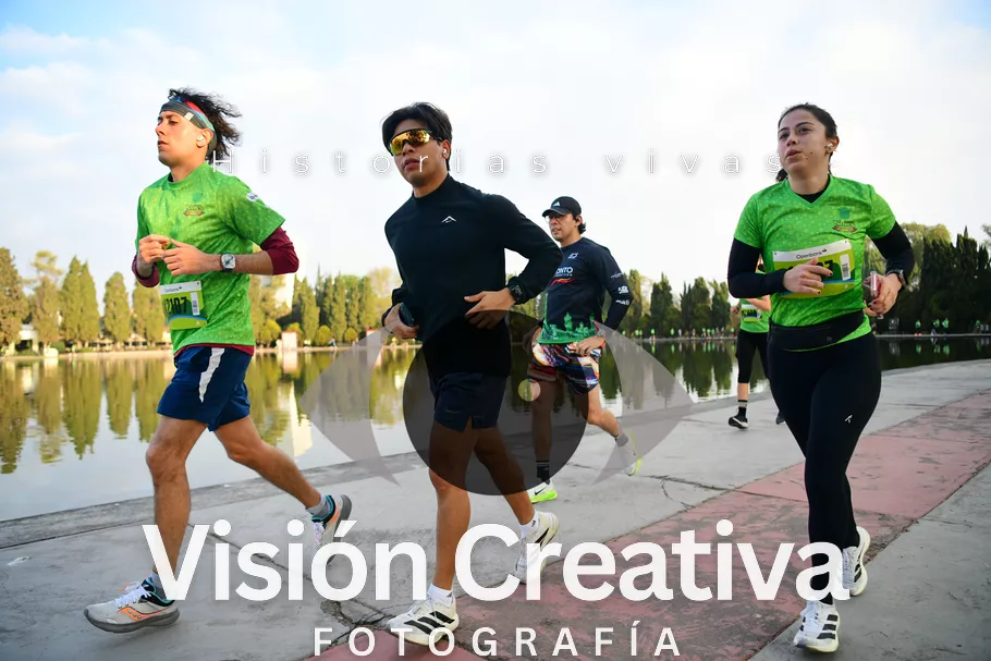 Foto del evento Shrek - CDMX 2026