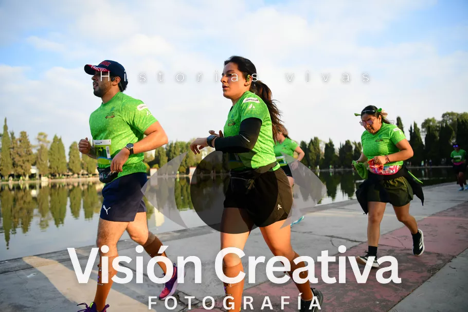Foto del evento Shrek - CDMX 2026