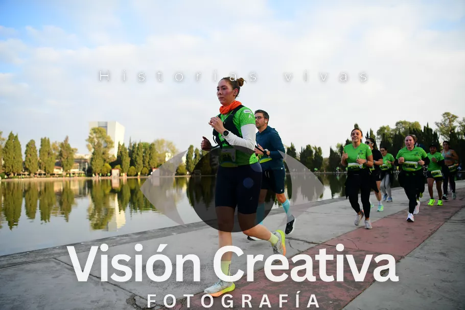 Foto del evento Shrek - CDMX 2026