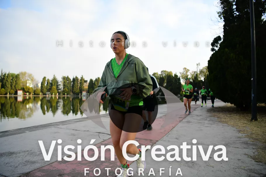 Foto del evento Shrek - CDMX 2026