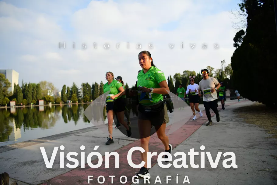 Foto del evento Shrek - CDMX 2026