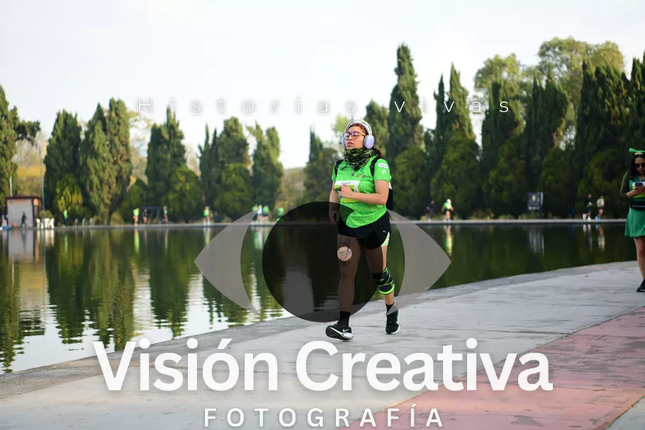 Foto del evento Shrek - CDMX 2026