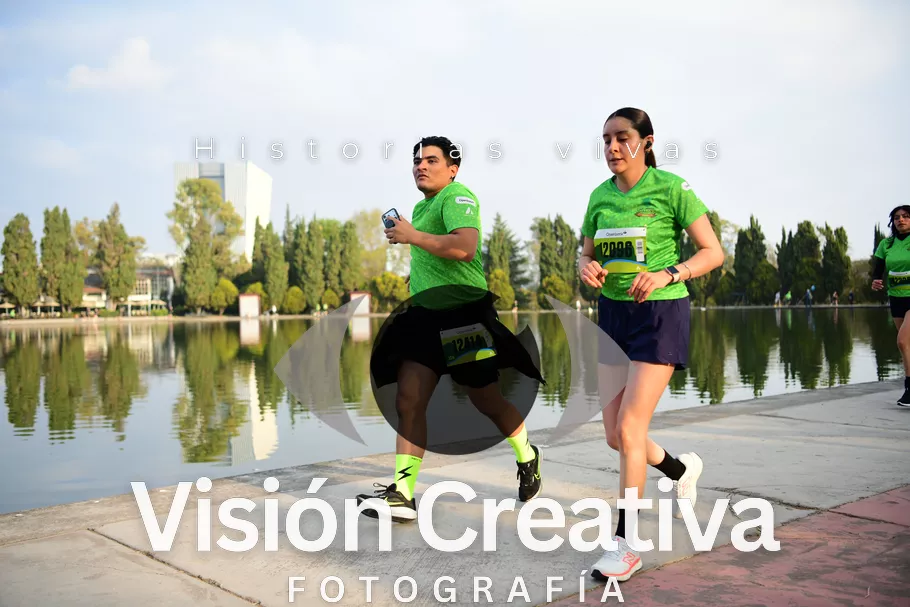 Foto del evento Shrek - CDMX 2026