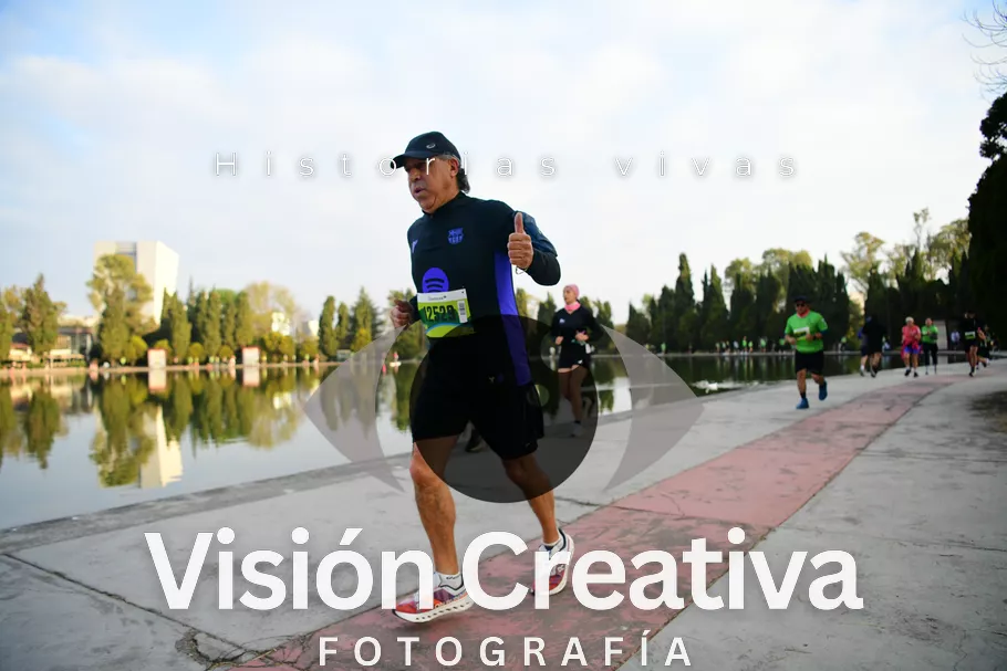 Foto del evento Shrek - CDMX 2026