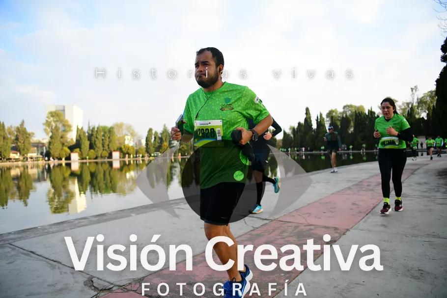 Foto del evento Shrek - CDMX 2026