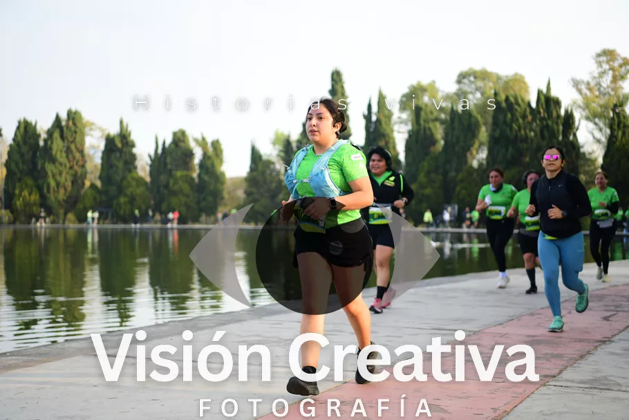 Foto del evento Shrek - CDMX 2026