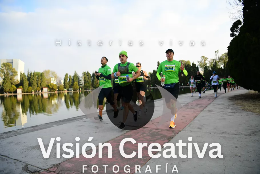 Foto del evento Shrek - CDMX 2026