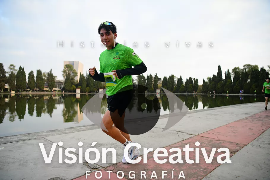 Foto del evento Shrek - CDMX 2026