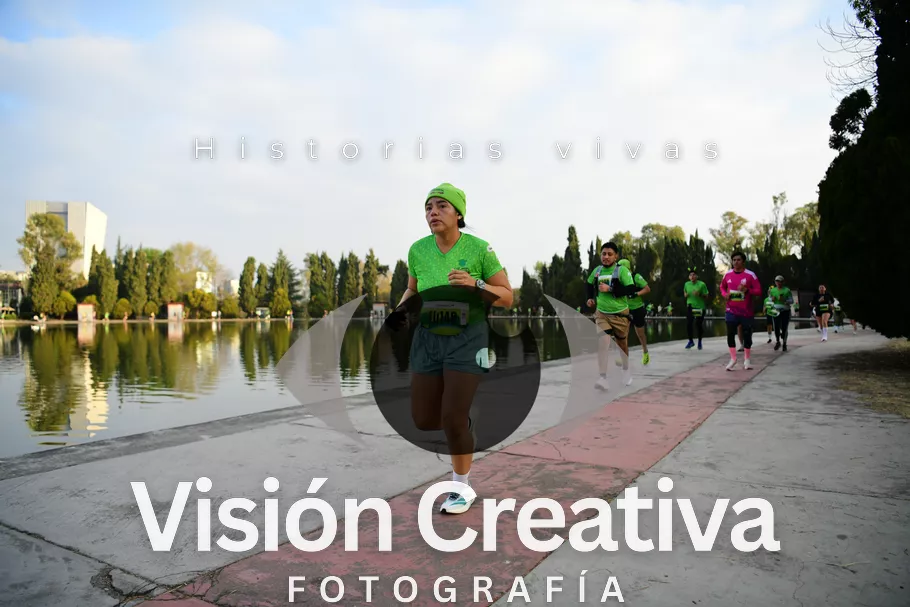 Foto del evento Shrek - CDMX 2026