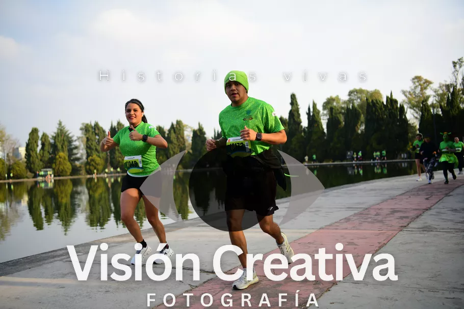 Foto del evento Shrek - CDMX 2026