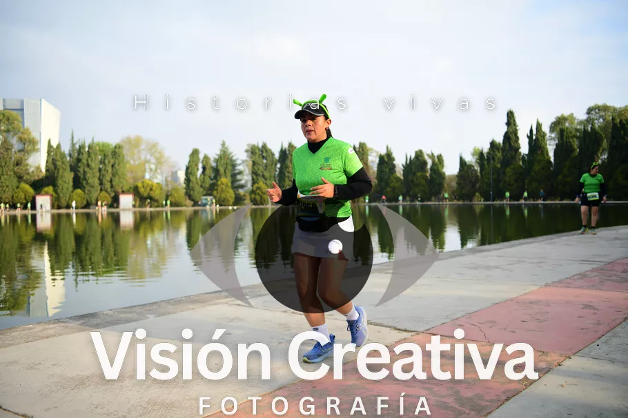 Foto del evento Shrek - CDMX 2026