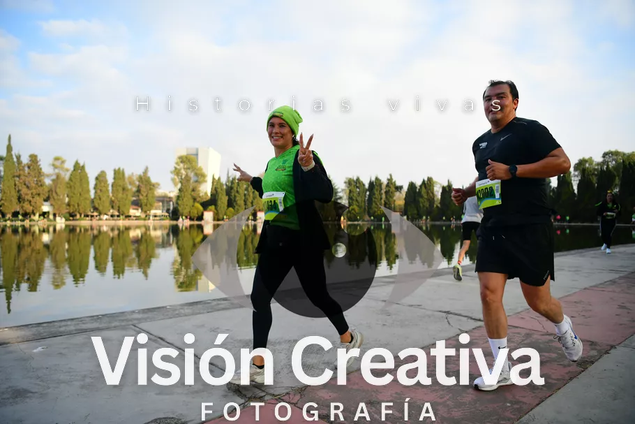 Foto del evento Shrek - CDMX 2026