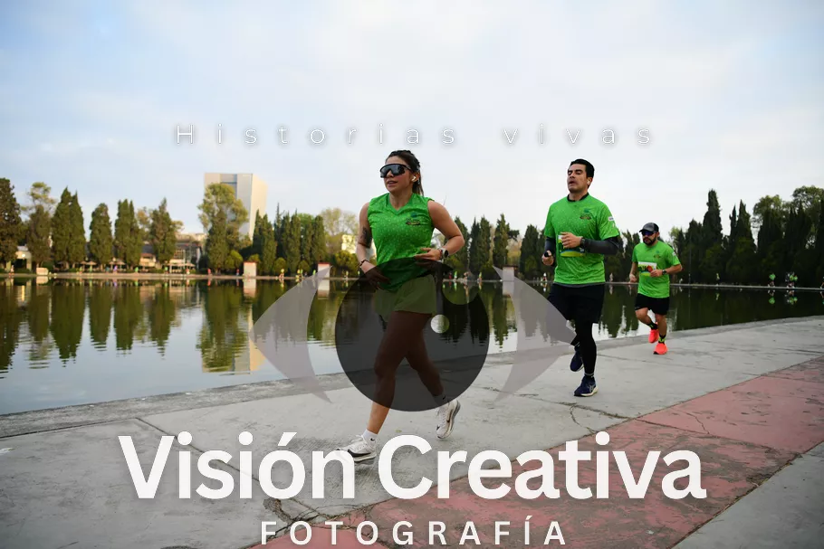 Foto del evento Shrek - CDMX 2026