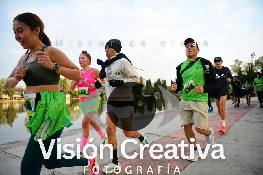 Foto del evento Shrek - CDMX 2026