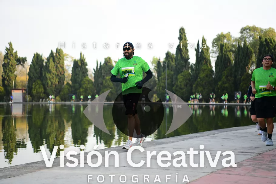 Foto del evento Shrek - CDMX 2026