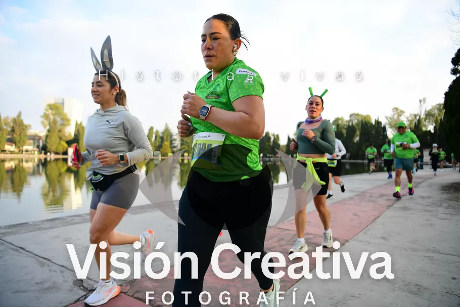 Foto del evento Shrek - CDMX 2026