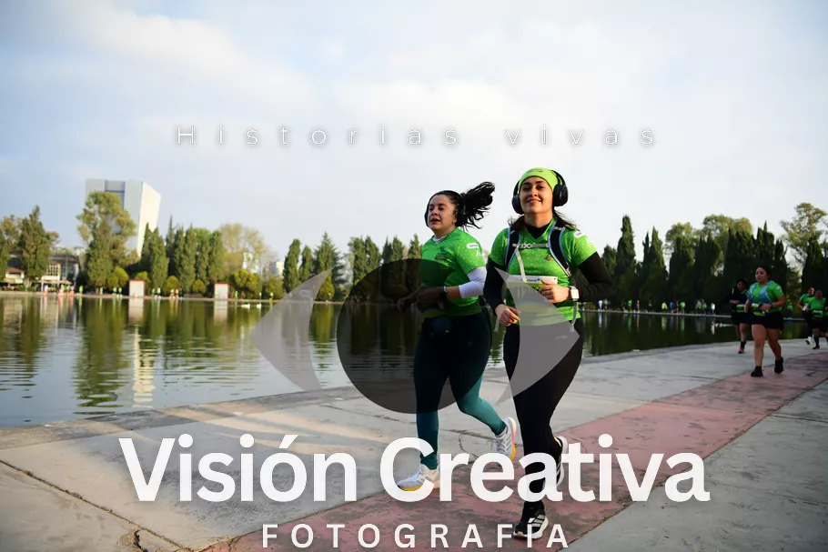 Foto del evento Shrek - CDMX 2026