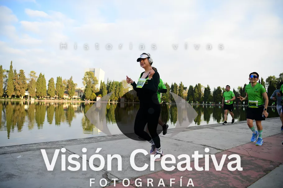 Foto del evento Shrek - CDMX 2026