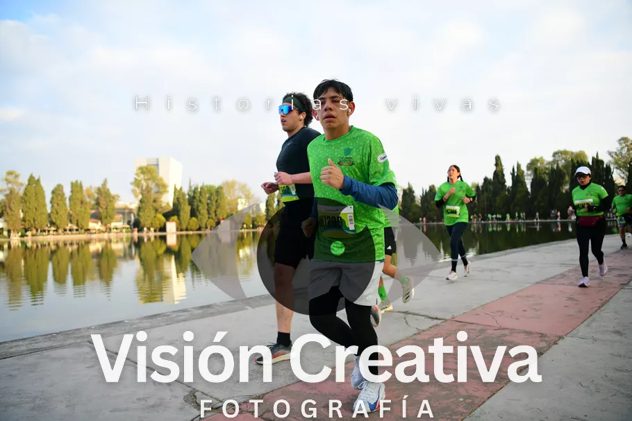 Foto del evento Shrek - CDMX 2026