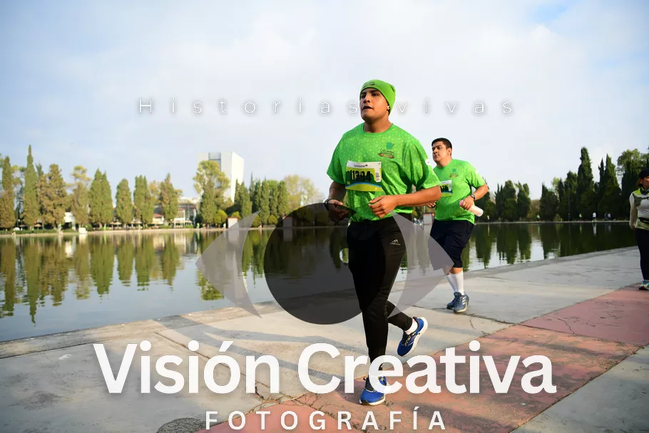 Foto del evento Shrek - CDMX 2026