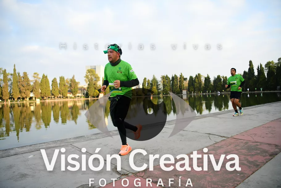 Foto del evento Shrek - CDMX 2026