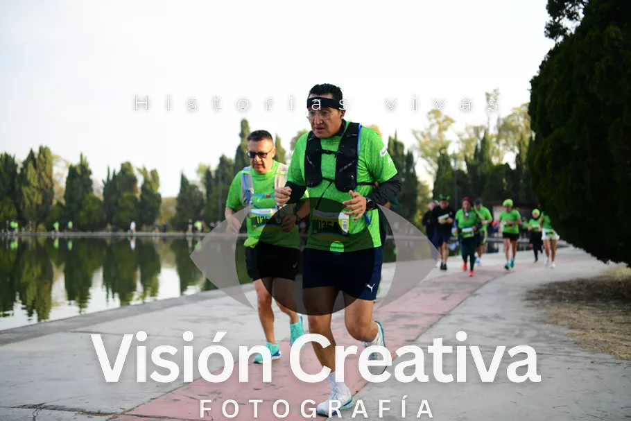 Foto del evento Shrek - CDMX 2026