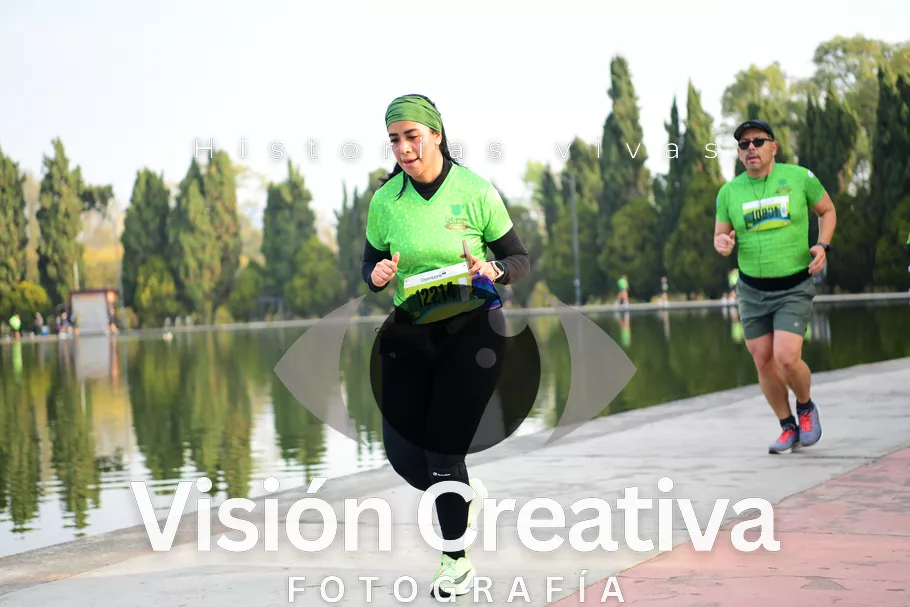 Foto del evento Shrek - CDMX 2026