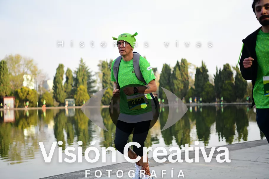 Foto del evento Shrek - CDMX 2026