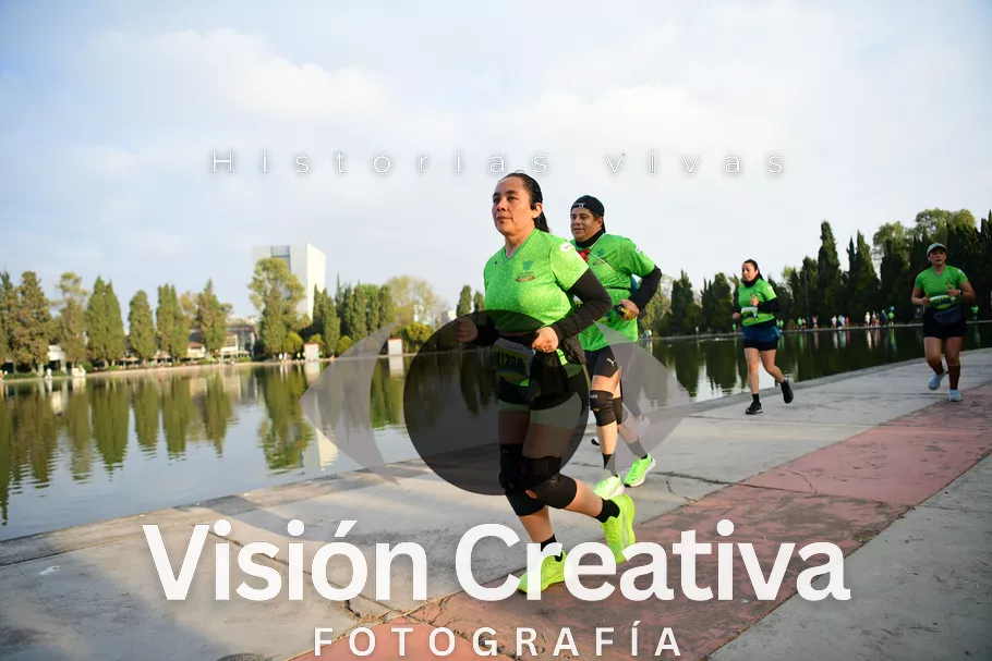 Foto del evento Shrek - CDMX 2026