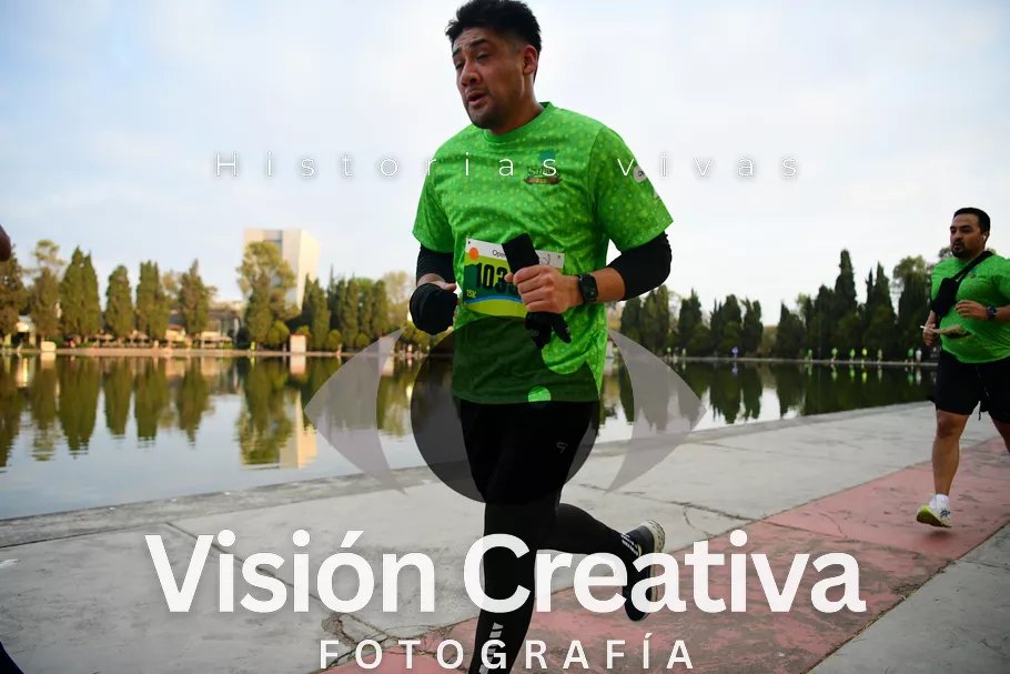 Foto del evento Shrek - CDMX 2026