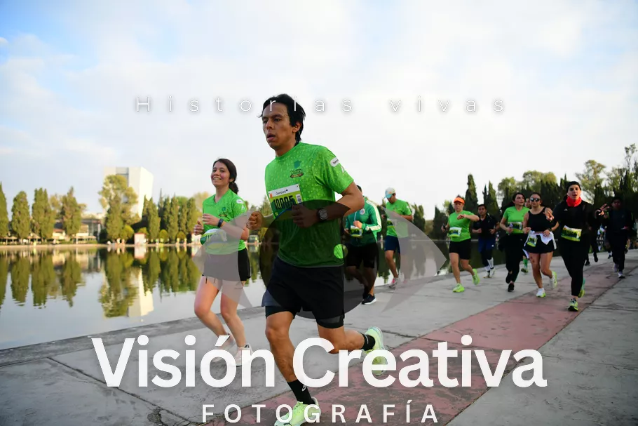 Foto del evento Shrek - CDMX 2026
