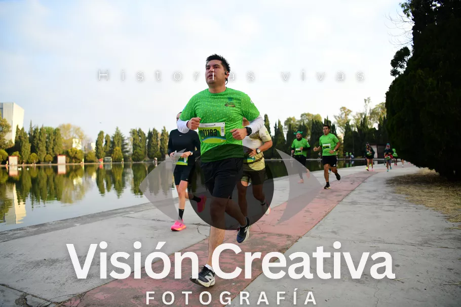 Foto del evento Shrek - CDMX 2026