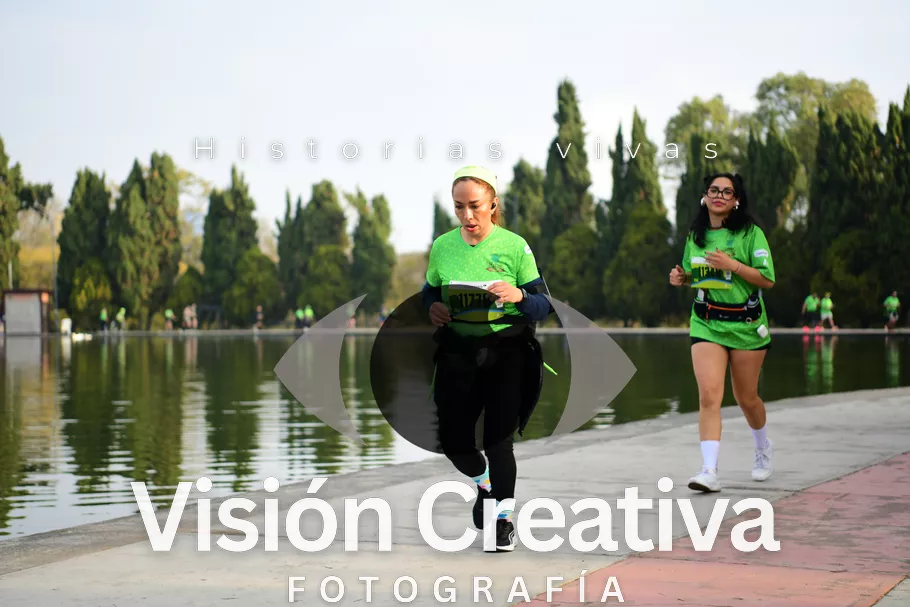 Foto del evento Shrek - CDMX 2026