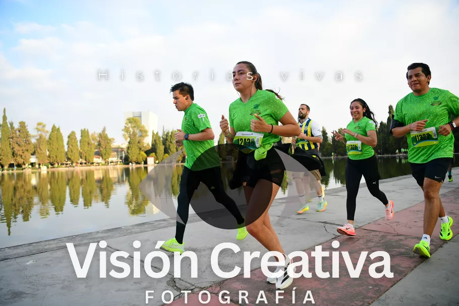 Foto del evento Shrek - CDMX 2026