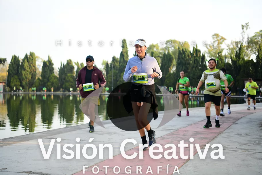 Foto del evento Shrek - CDMX 2026