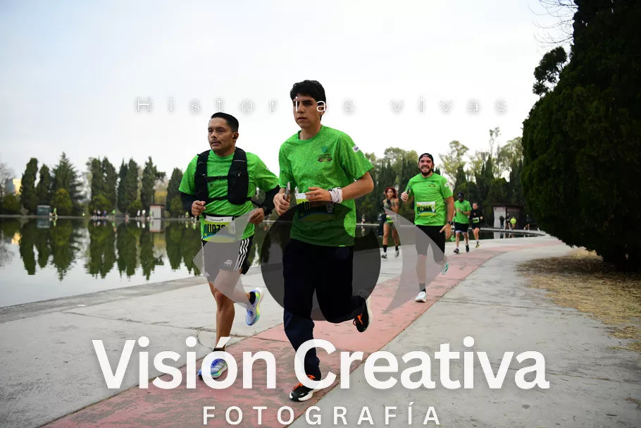 Foto del evento Shrek - CDMX 2026
