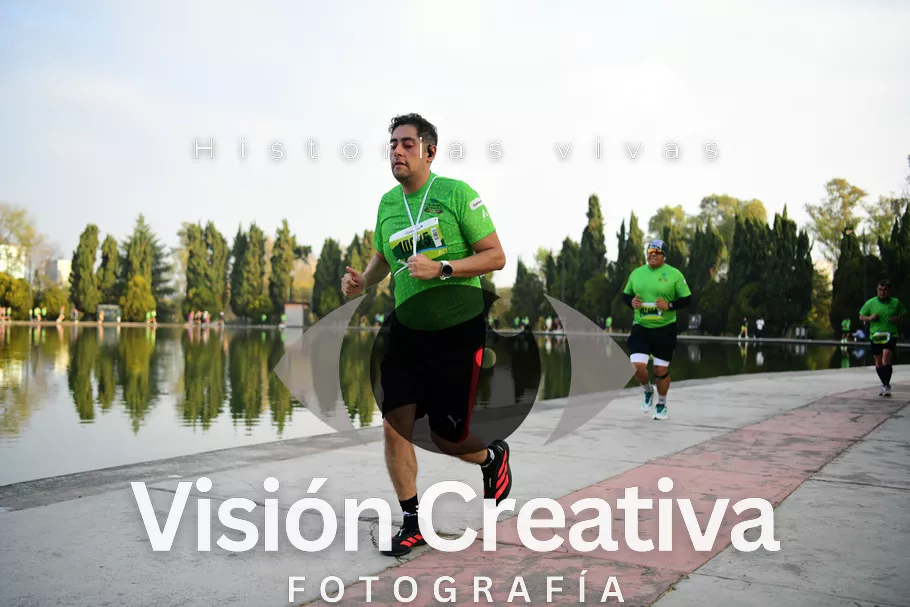 Foto del evento Shrek - CDMX 2026