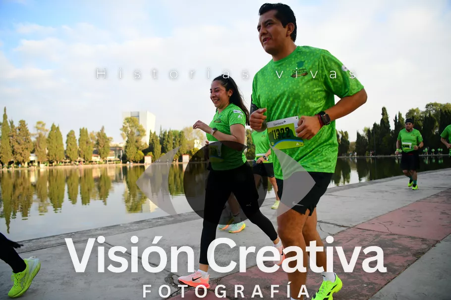 Foto del evento Shrek - CDMX 2026