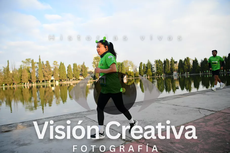 Foto del evento Shrek - CDMX 2026