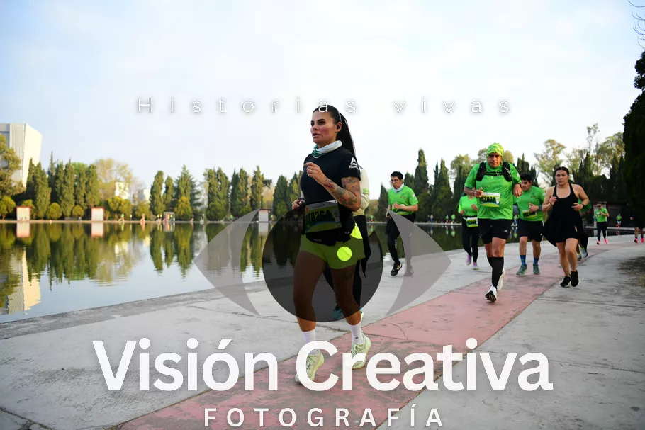 Foto del evento Shrek - CDMX 2026