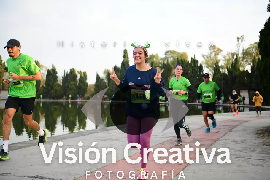 Foto del evento Shrek - CDMX 2026