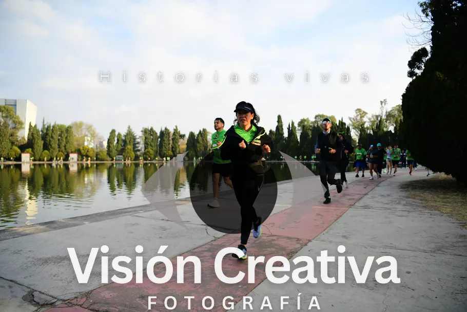Foto del evento Shrek - CDMX 2026