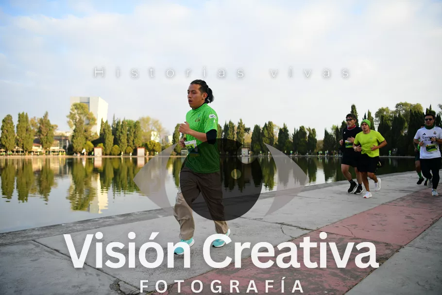 Foto del evento Shrek - CDMX 2026