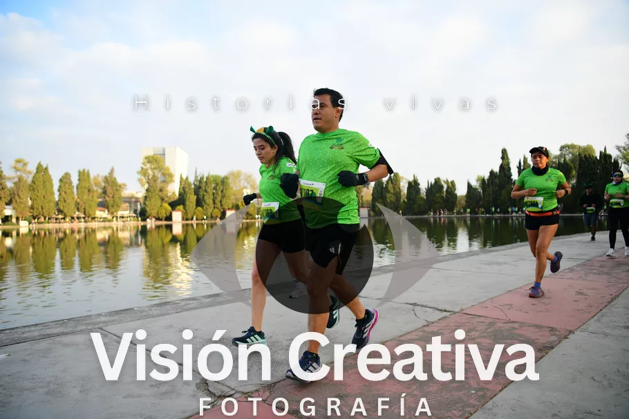 Foto del evento Shrek - CDMX 2026