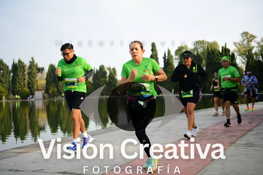 Foto del evento Shrek - CDMX 2026