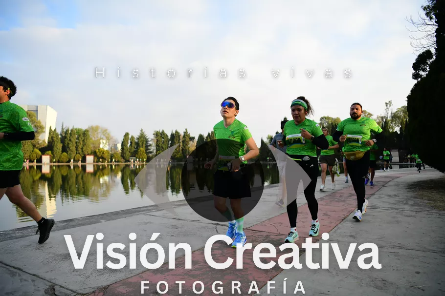 Foto del evento Shrek - CDMX 2026