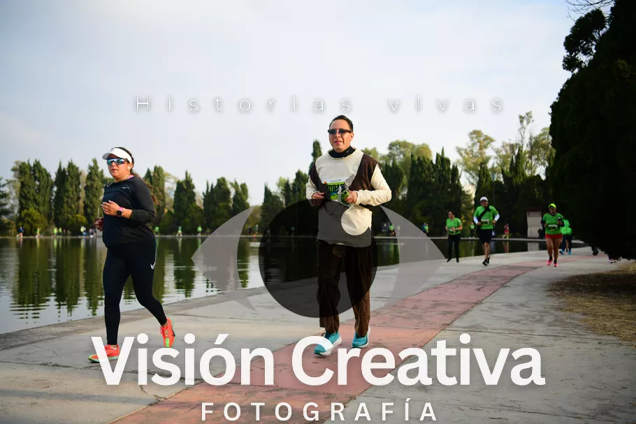 Foto del evento Shrek - CDMX 2026