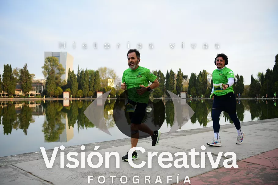 Foto del evento Shrek - CDMX 2026