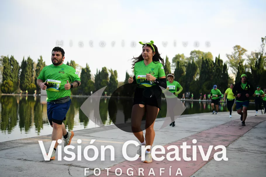 Foto del evento Shrek - CDMX 2026